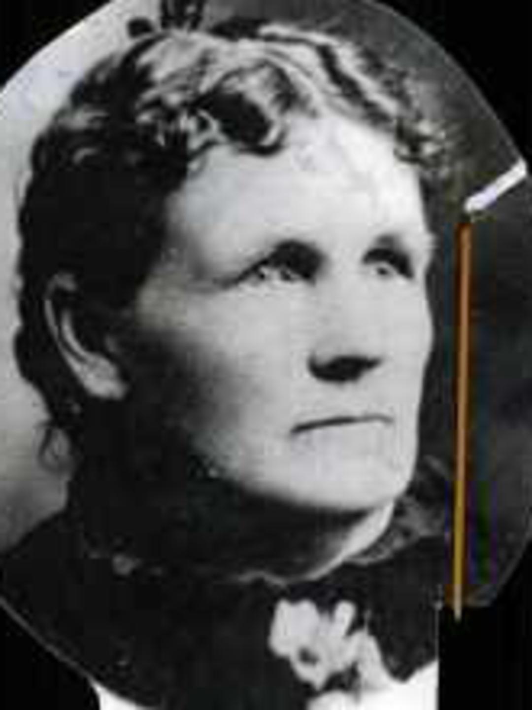 Mary Ann Perkins (1840 - 1917) Profile